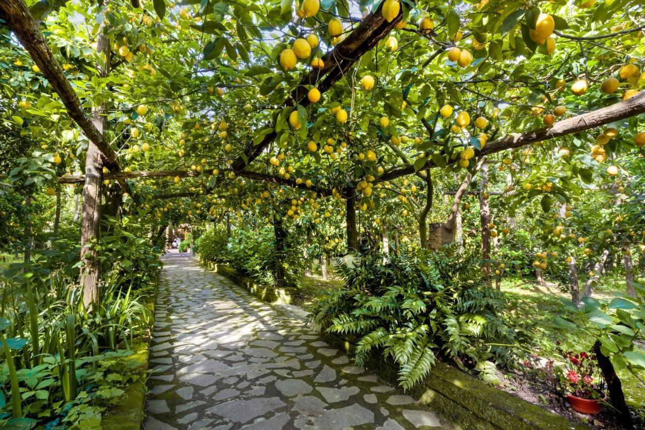 Villa Maresca B&B Πιάνο ντι Σορέντο Εξωτερικό φωτογραφία