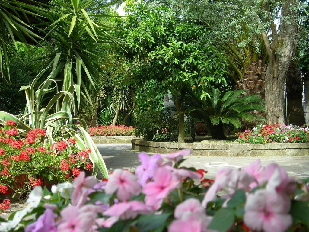 Villa Maresca B&B Πιάνο ντι Σορέντο Εξωτερικό φωτογραφία