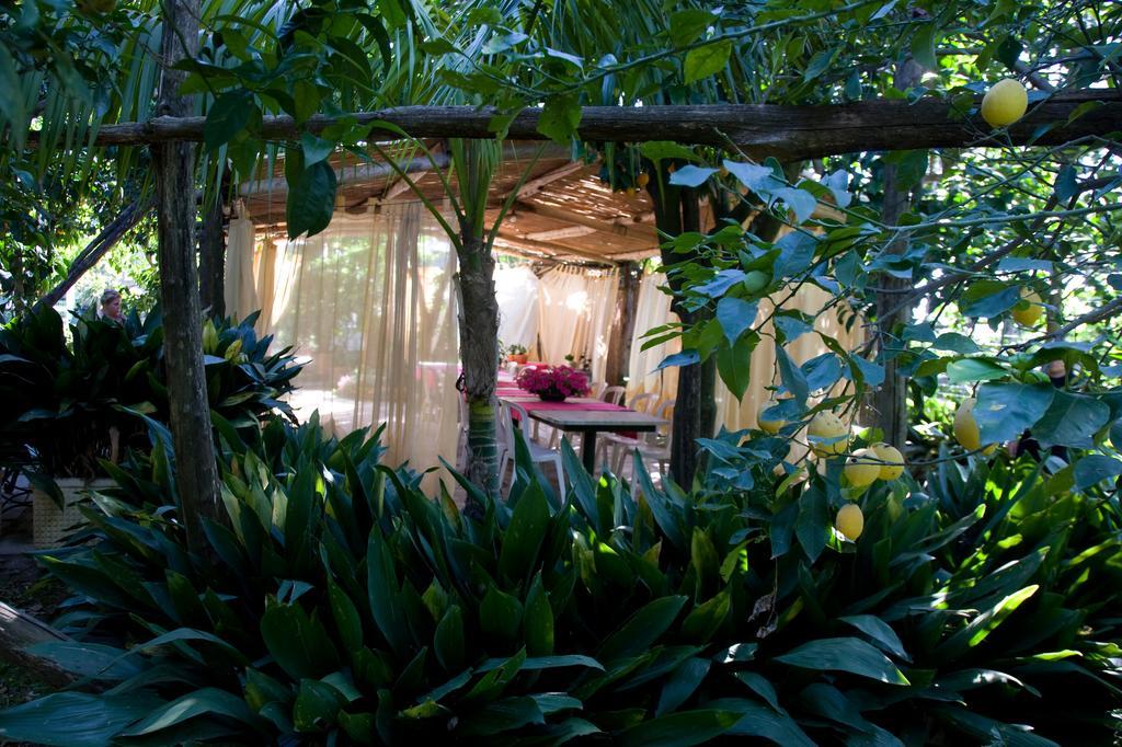 Villa Maresca B&B Πιάνο ντι Σορέντο Εξωτερικό φωτογραφία